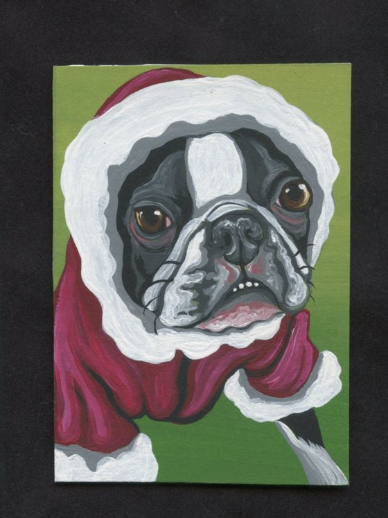 ACEO ATC Original Painting Christmas Elf Boston Terrier Pet Dog Art-Carla Smale