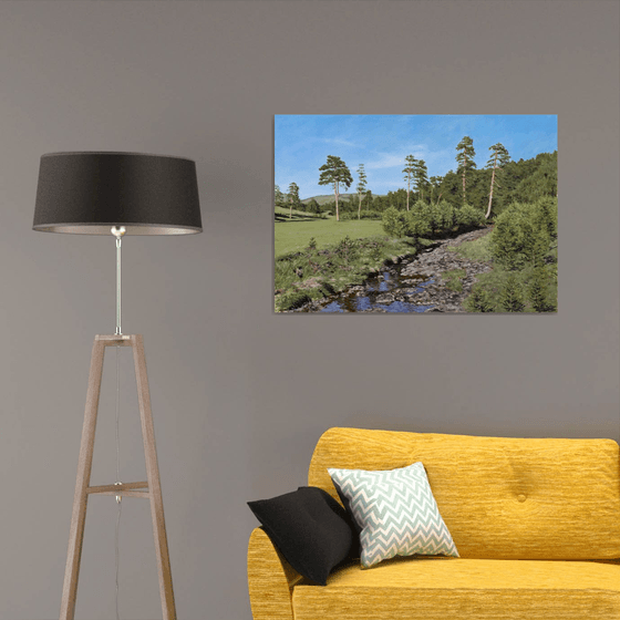 Verdant Meadow With Creek