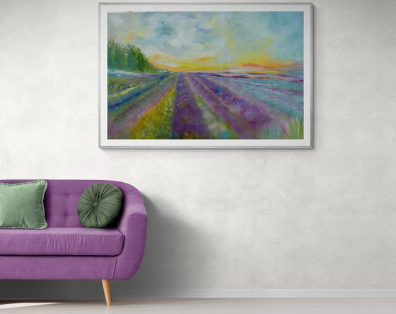 Lavender Fields 2026