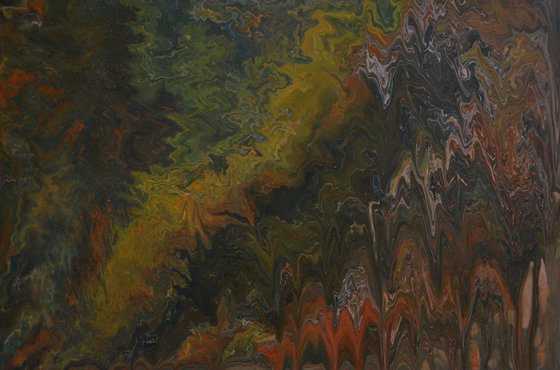 Forest from a Bird's Eye View