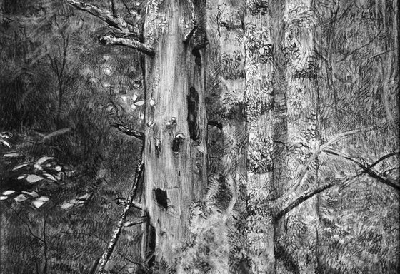 Dead tree