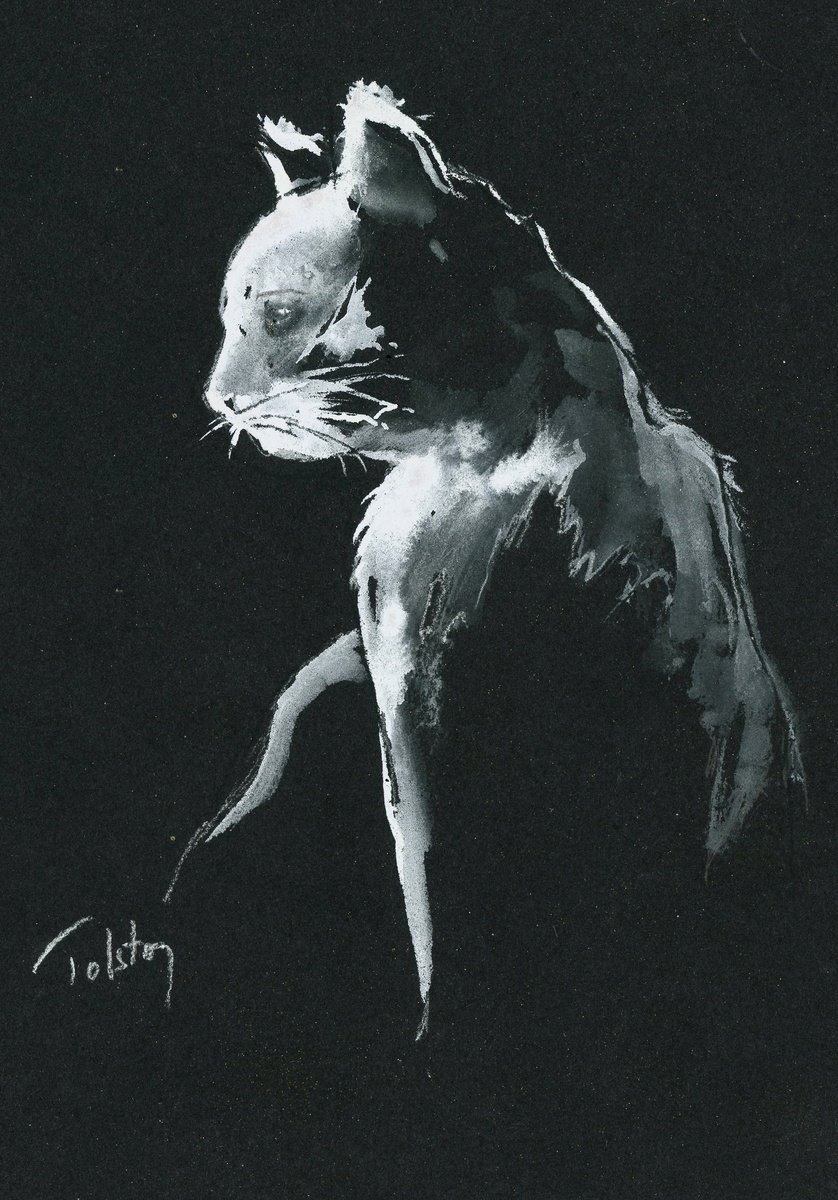 Impressionistic Animal Watercolour By Alex Tolstoy, 9 X 12, Cat On Black, Original Artwork