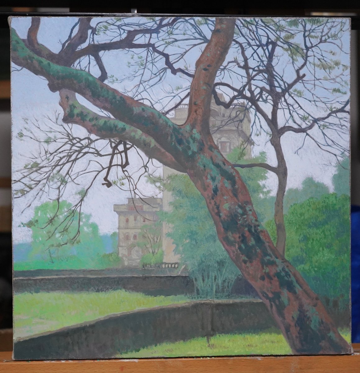 Photorealistic Oil Painting , Poinciana By Ruoshen, 12 X 12, Artwork For Sale On Artfinder