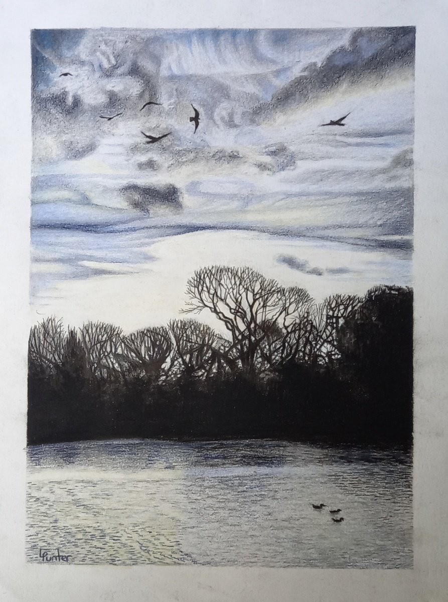 Landscape Pencil Drawing By Lisa Punter, 11 X 15", Winter Morning In The Park, Original Artwork