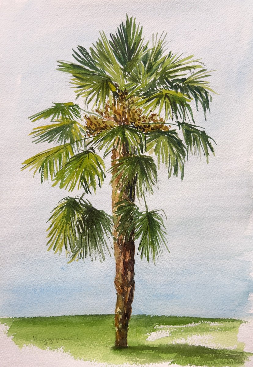 Impressionistic Watercolour , Palm Tree - Plein Air By Krystyna Szczepanowski, 10 X 14, Artwork For Sale On Artfinder