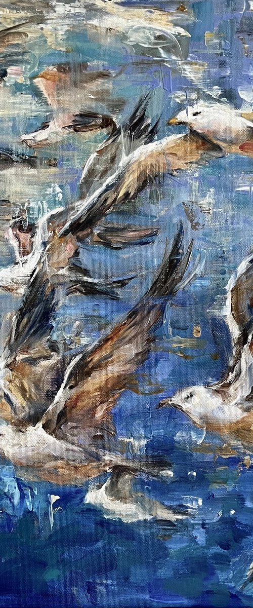 SEAGULLS IN FLIGHT by Elena Mashajeva-Agraphiotis