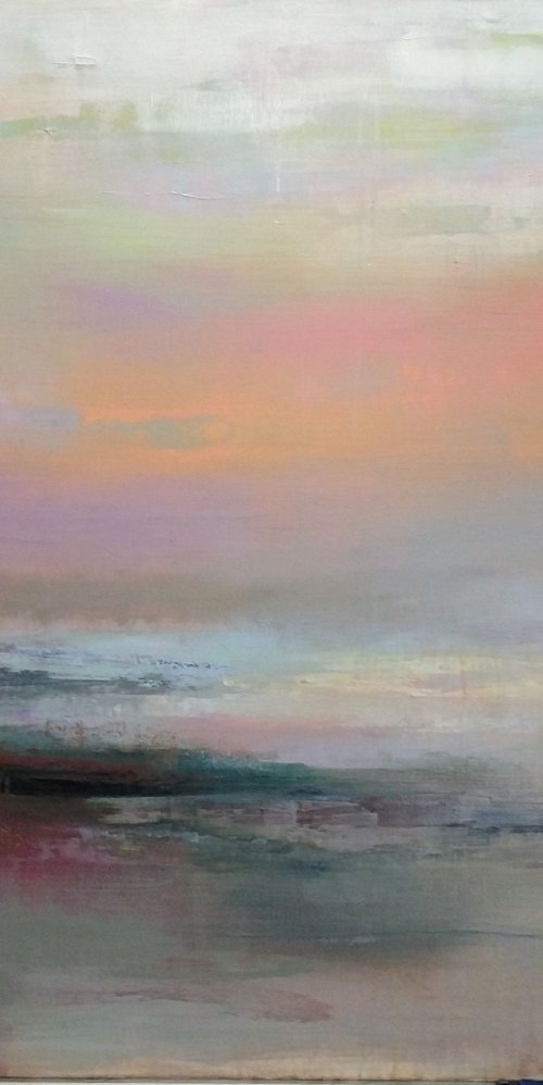 Salmon sunset by Viktoria Shvoren