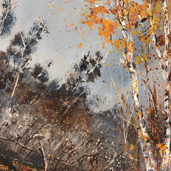 Aspen trees in autumn