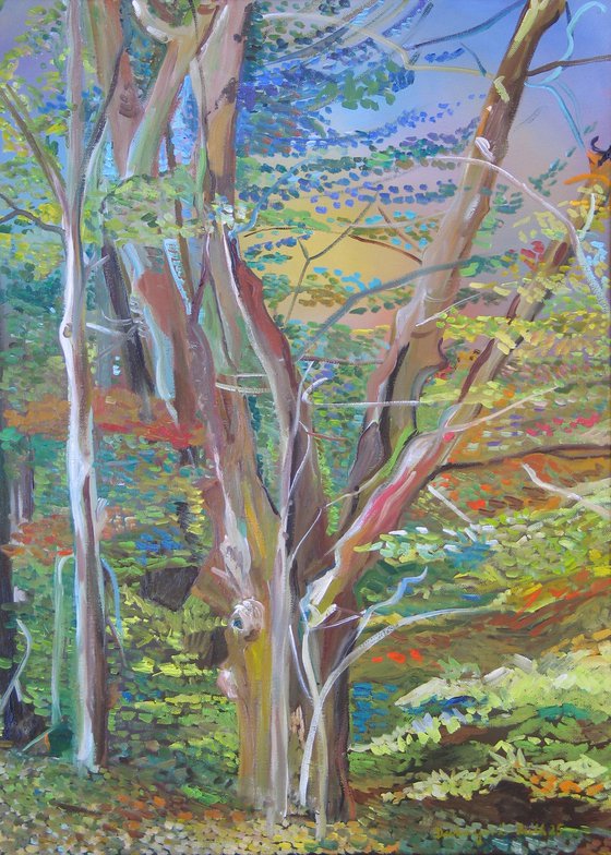 Tree 5.