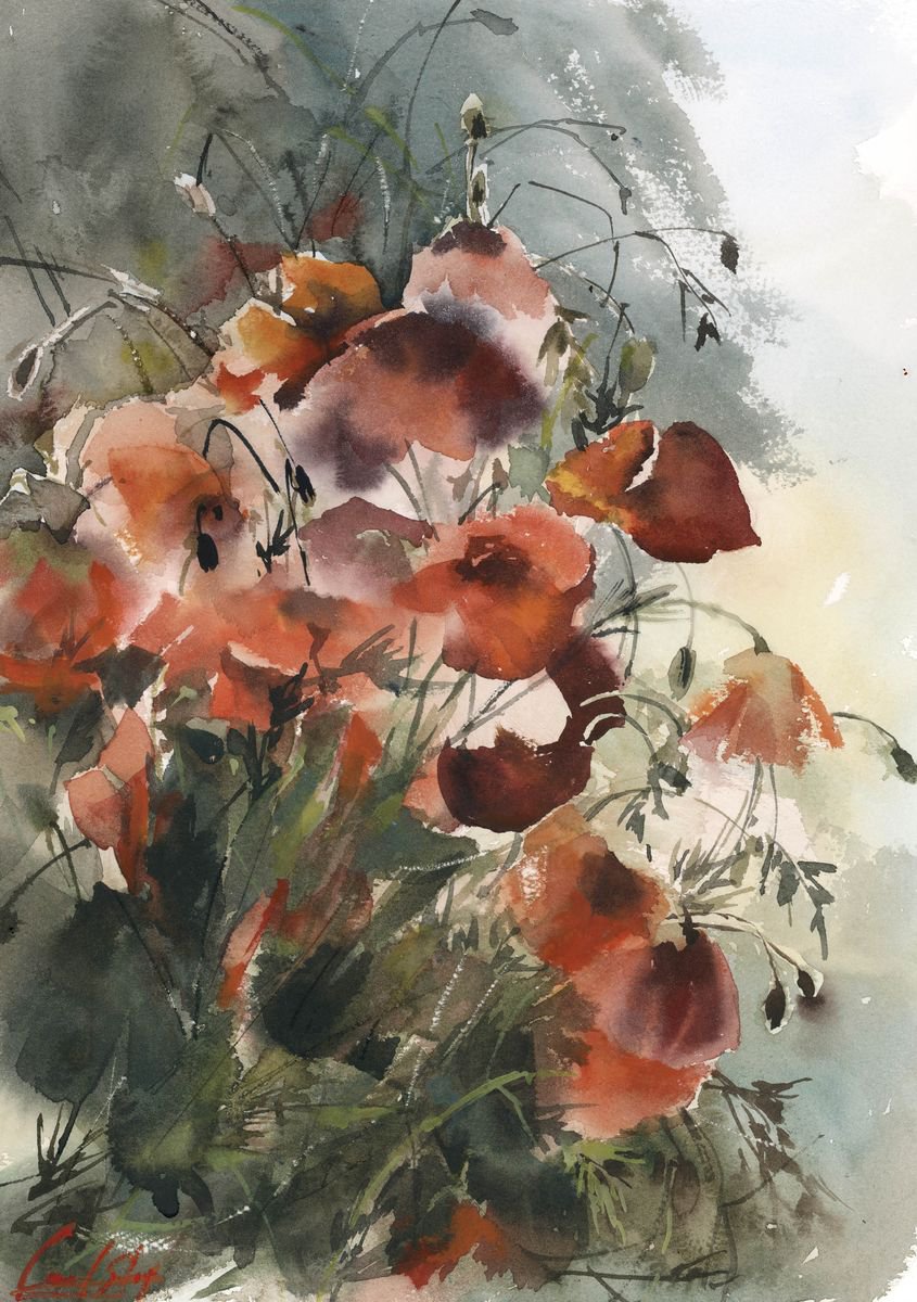 Impressionistic Botanical Watercolour By Sophie Rodionov, 10 X 14", Red Poppy Flowers, Original Artwork