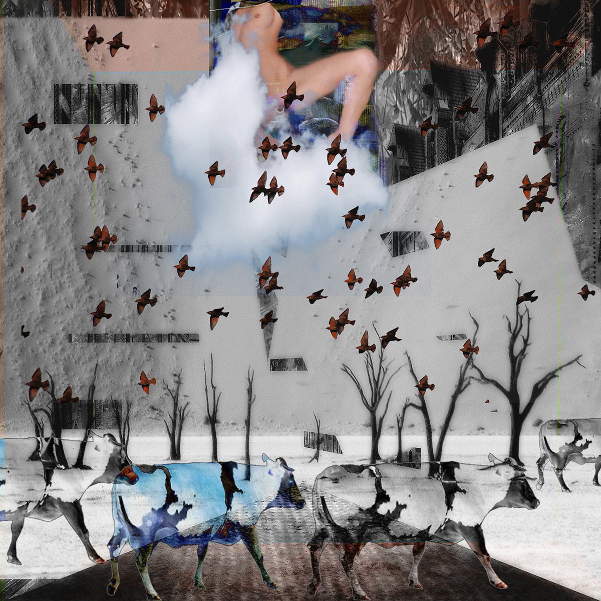 Expressive Landscape Photograph By Geert Lemmers Fpa, 31 X 31, Adapted Culture Opus Xi, Original Artwork