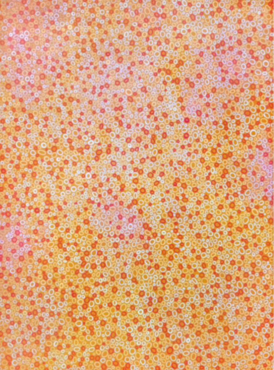 Abstract Acrylic Painting By Jennifer Bell, 30 X 40, Summer Flowers, Original Artwork