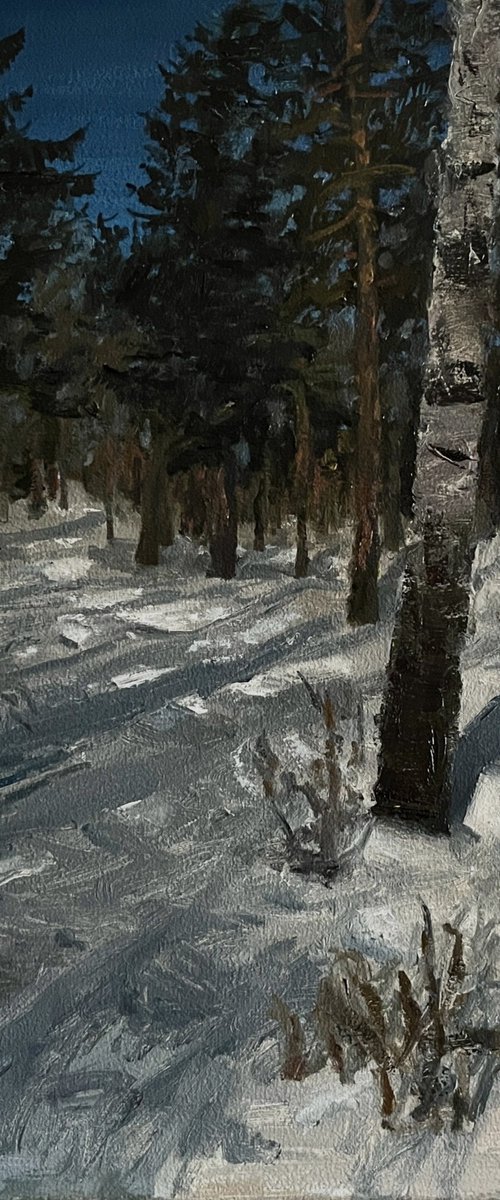 Winter forest by Michael Rak