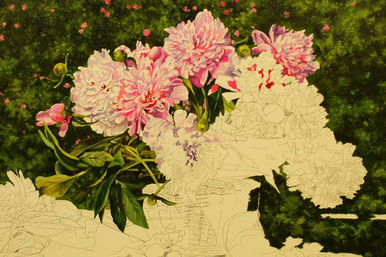 Peonies