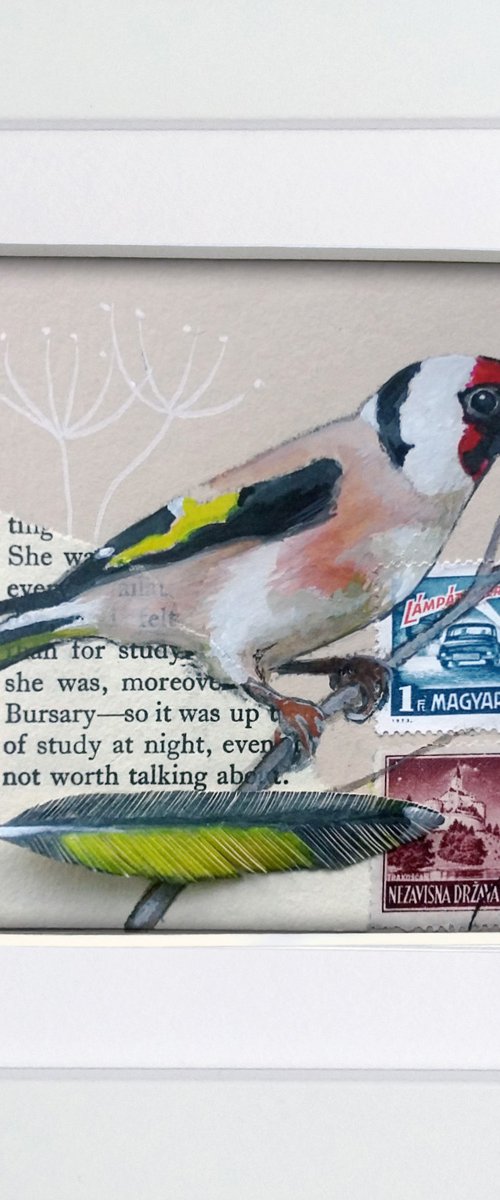 The Goldfinch feather  (framed and ready to hang) by Carolynne Coulson