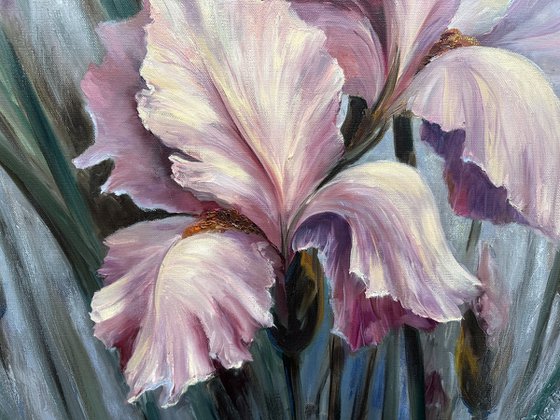 In the haze of flower dreams. Pink irises