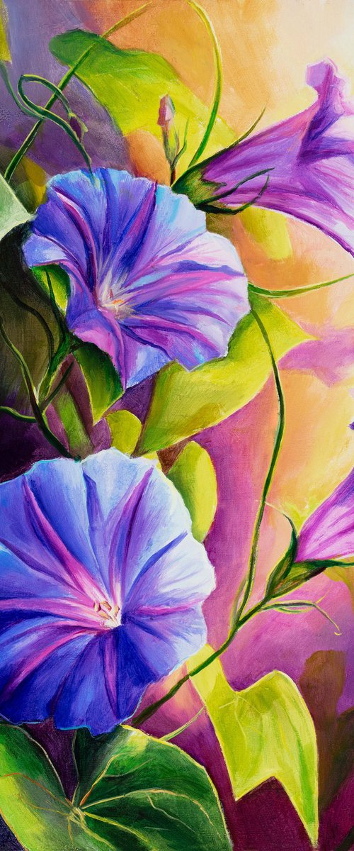 Morning glory flowers in the garden by Lucia Verdejo