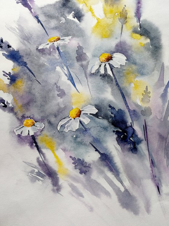 Daisy painting Wildflowers