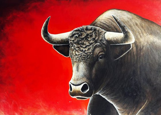 Bull