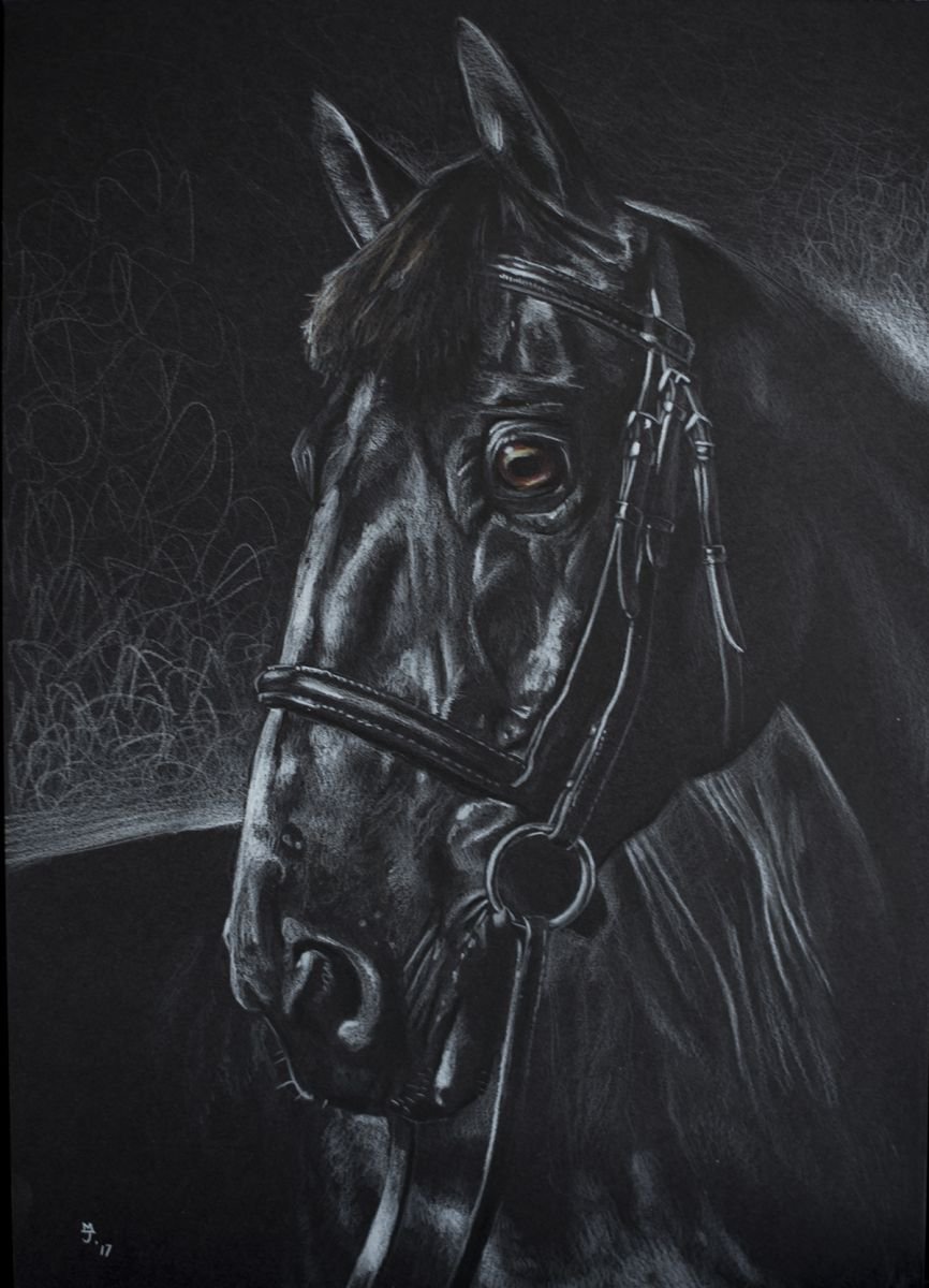 Black Horse by Michael Juniper