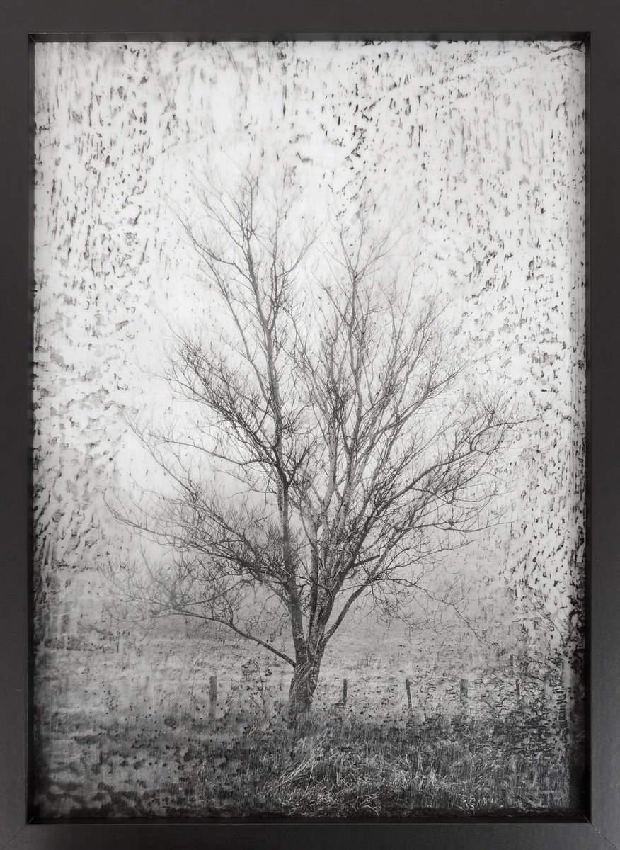 Impressionistic Painting , Morning Fog By Roseanne Jones, 12 X 17, Artwork For Sale On Artfinder
