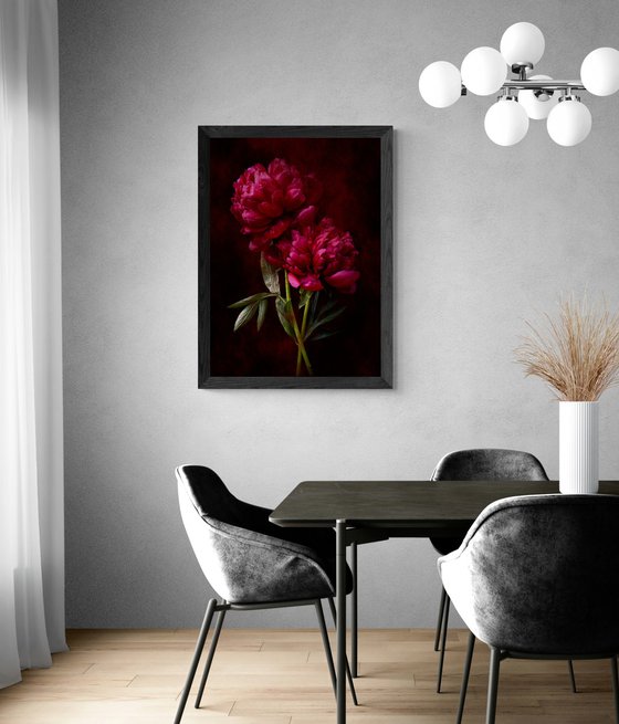 Crimson Peonies