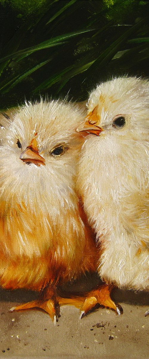 Two Fluffy Chicks by Natalia Shaykina