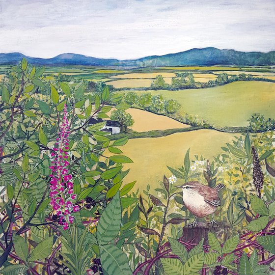 Wrens' View