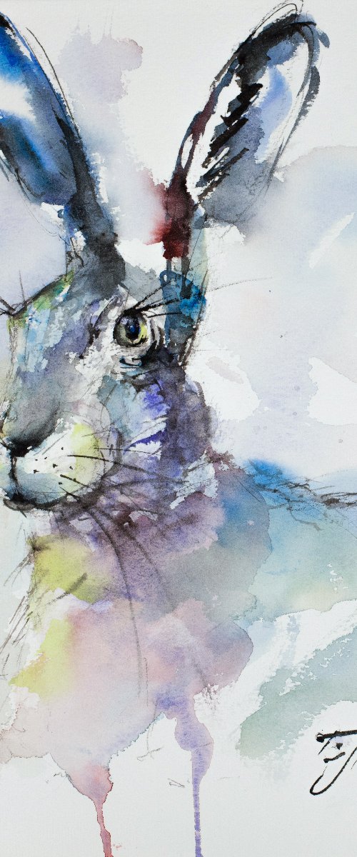Piotr the Hare by Tomasz Mikutel