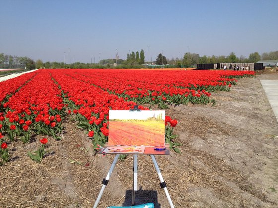 Tulip fields 2019