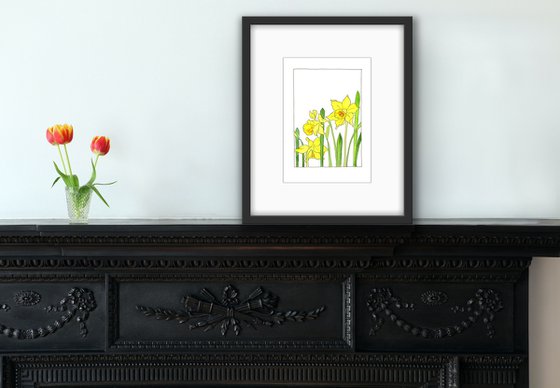 Yellow daffodils flowers mixed media illustration