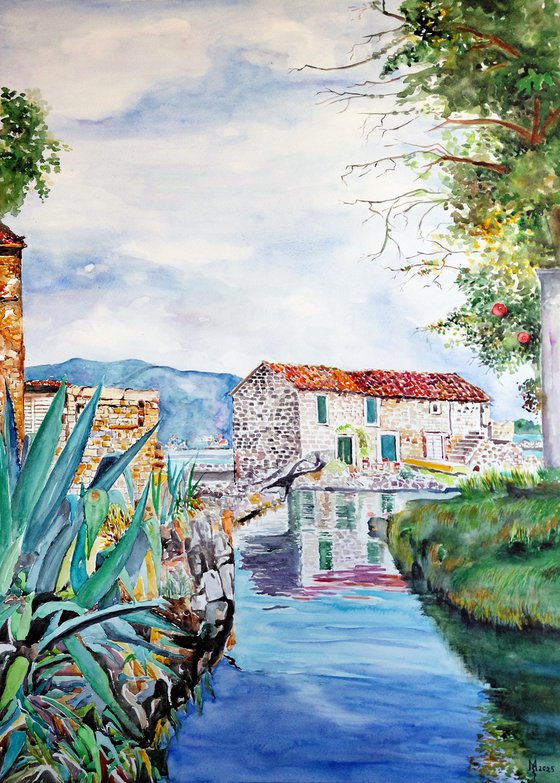 BOKA KOTORSKA place of Bjelila