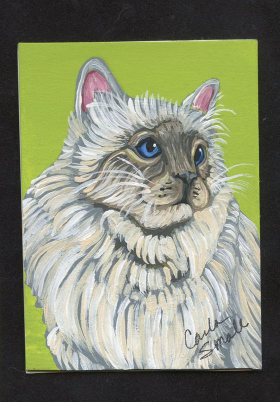 ACEO ATC Original Painting Persian Cat Pet Art-Carla Smale
