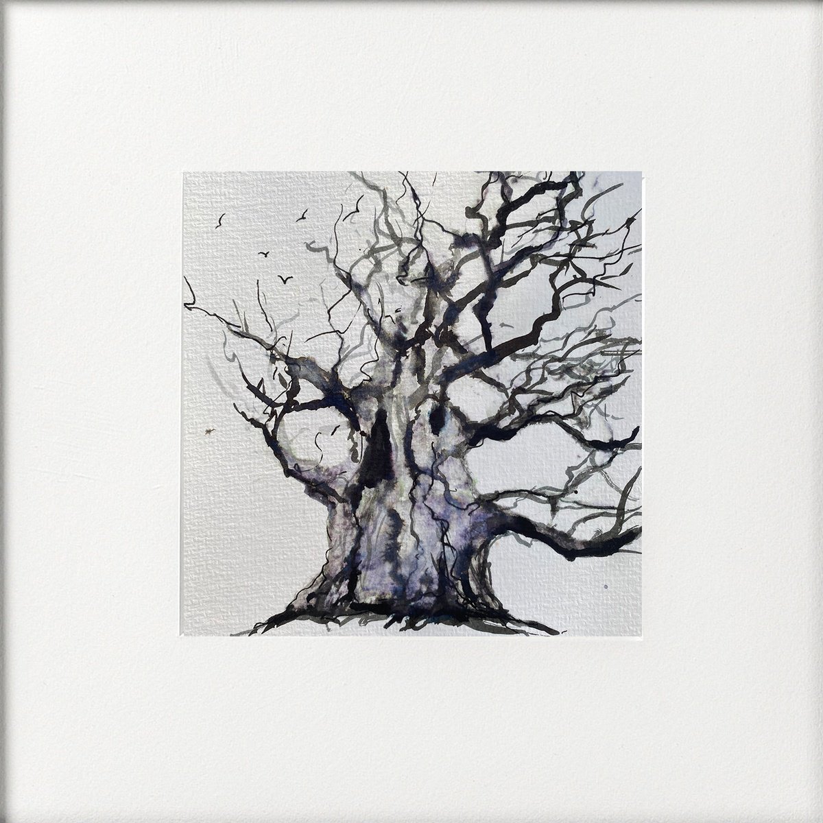 Monochrome - Winter Oak tree by Teresa Tanner