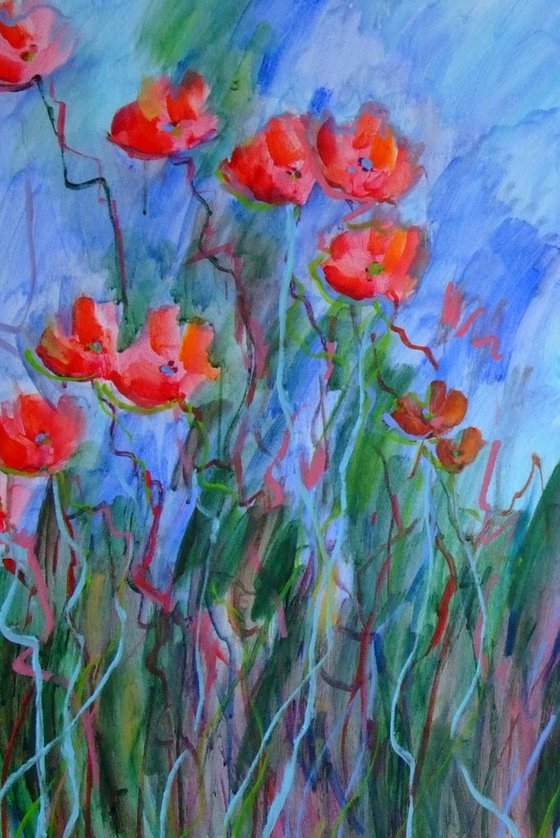 Red Poppies Garden