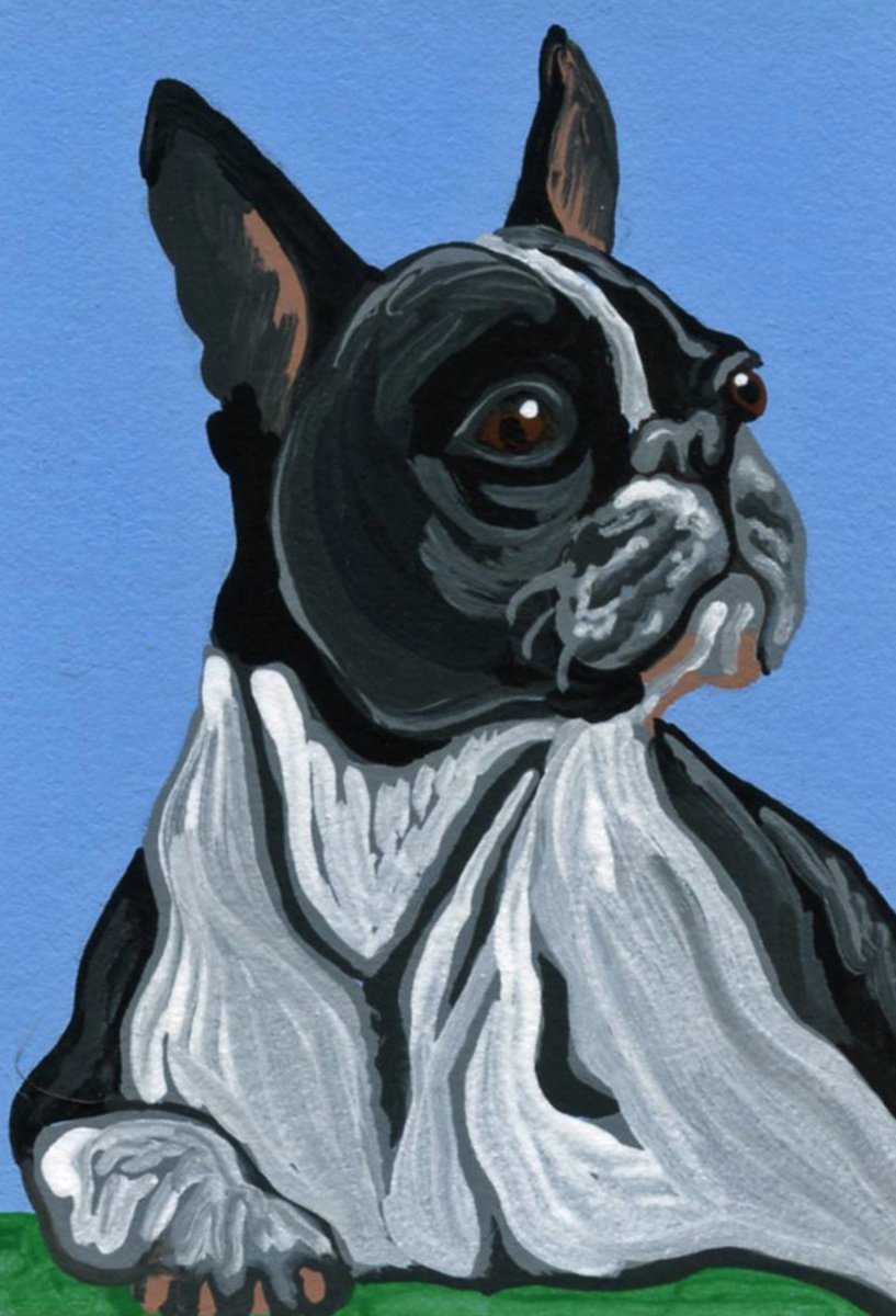 ACEO ATC Original Miniature Painting Boston Terrier Pet Dog Art-Carla Smale by carla smale