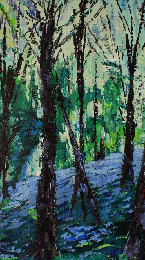 Bluebells and Boulder by Julia Preston
