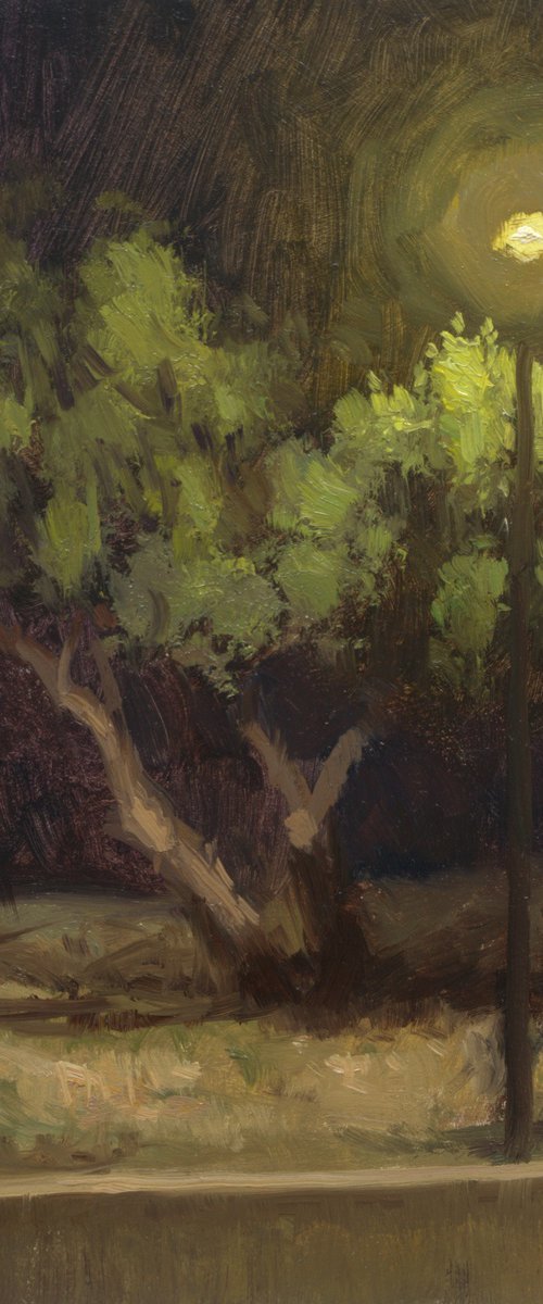 Night in the park by Daniel Thoms