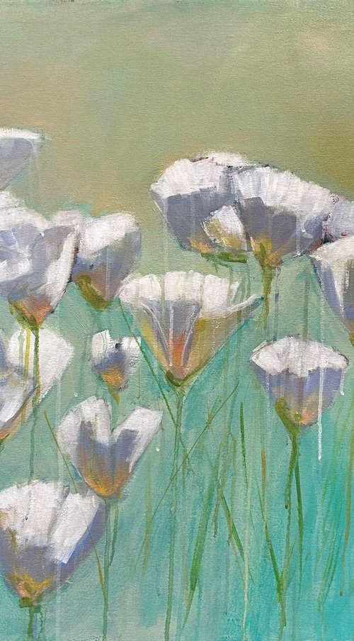 California White Poppy Field by Leah Kohlenberg