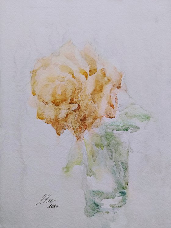 Rose. Original watercolour painting.