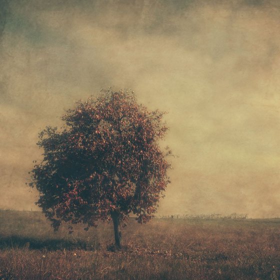 Painterly Tree - Limited Edition of 17