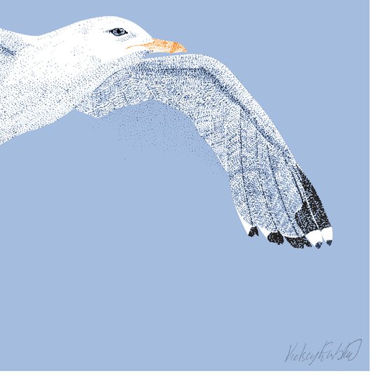 Seagull - Limited Edition Print