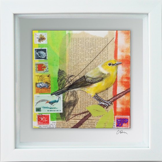 Yellow warbler - Ornithology #6 - Framed ready to hang original painting