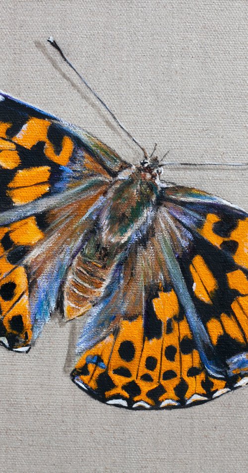 Butterfly by Liudmila Pisliakova