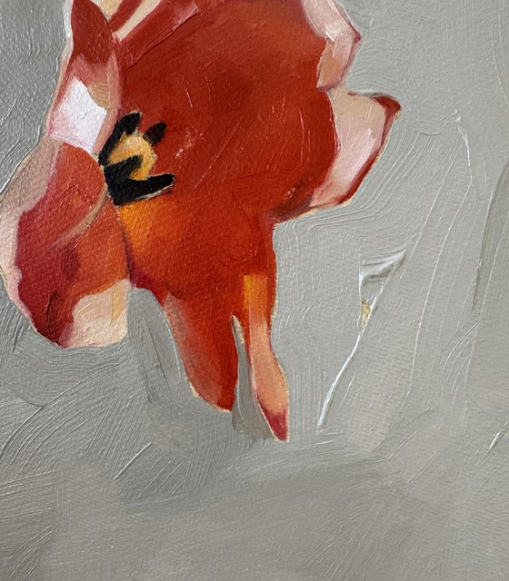 « Spring in the heart»