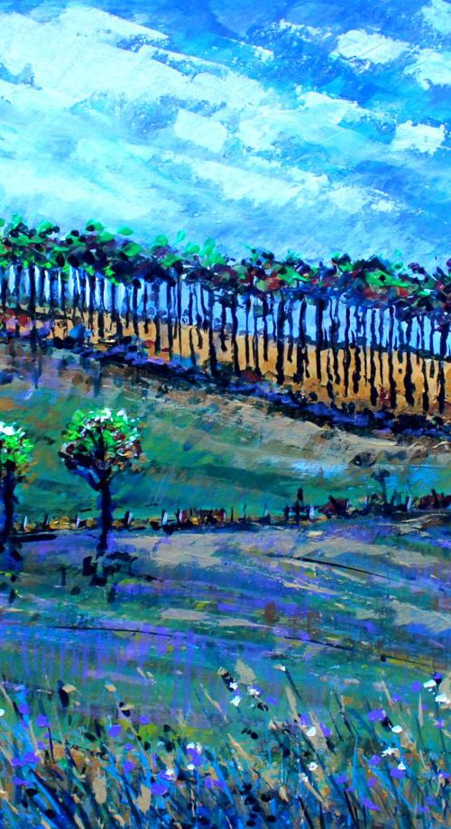 South Downs Buriton by Paul J Best