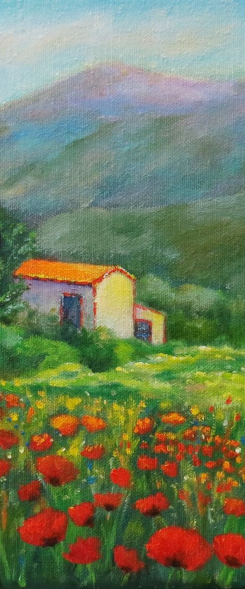 Cottage in Provence by Maureen Greenwood