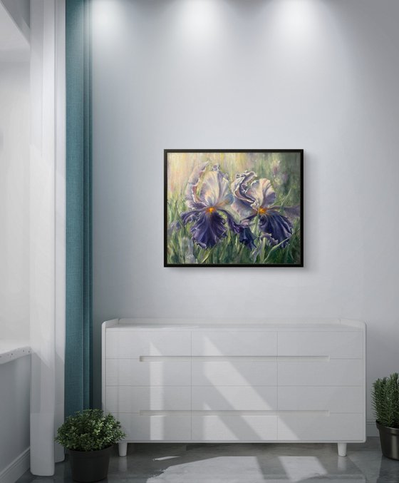 Morning Irises