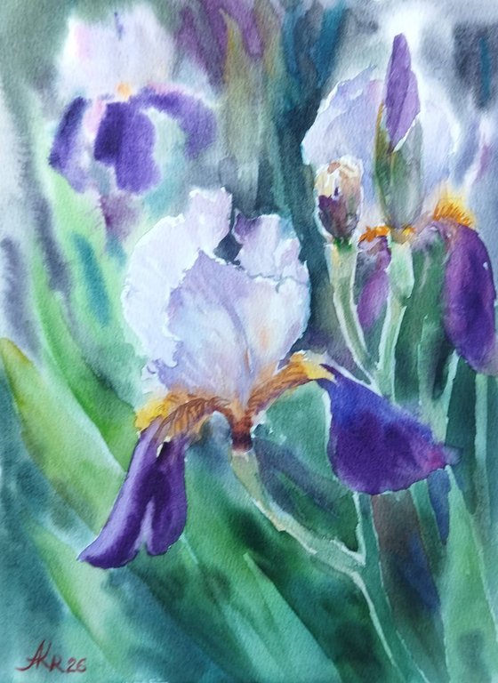 Iris flowers