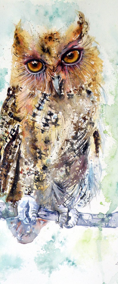 Owl by Kovács Anna Brigitta